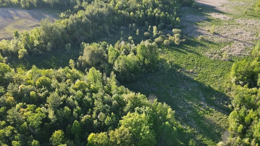 Melcher Road Prescott, MI 48756