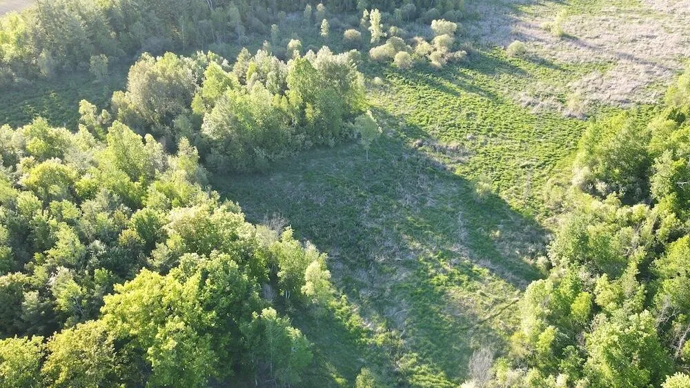 Melcher Road Prescott, MI 48756