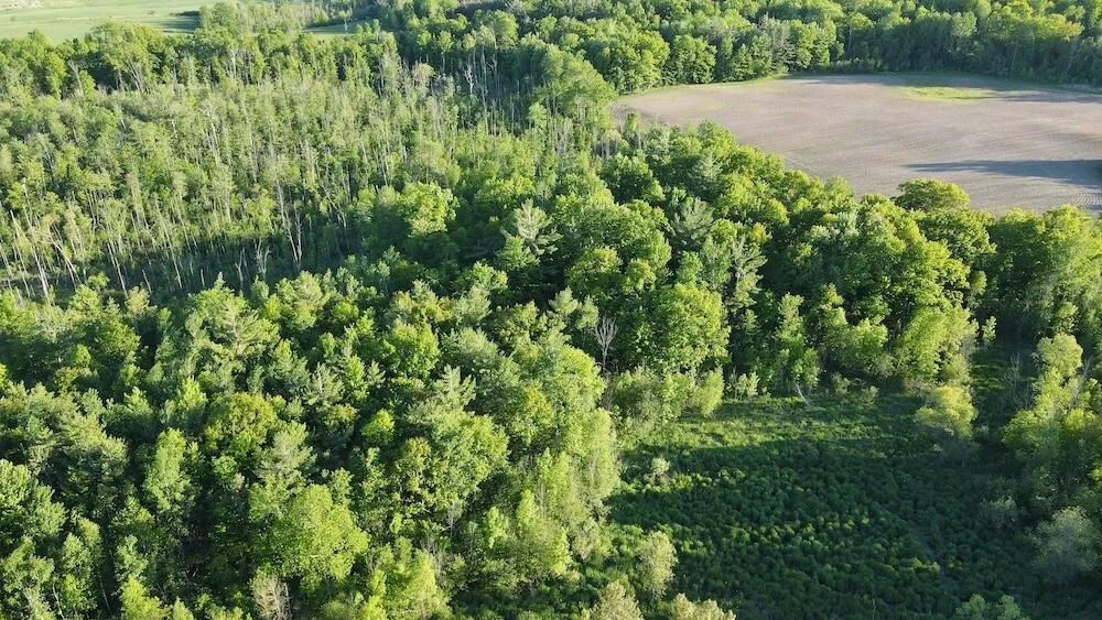 Melcher Road Prescott, MI 48756