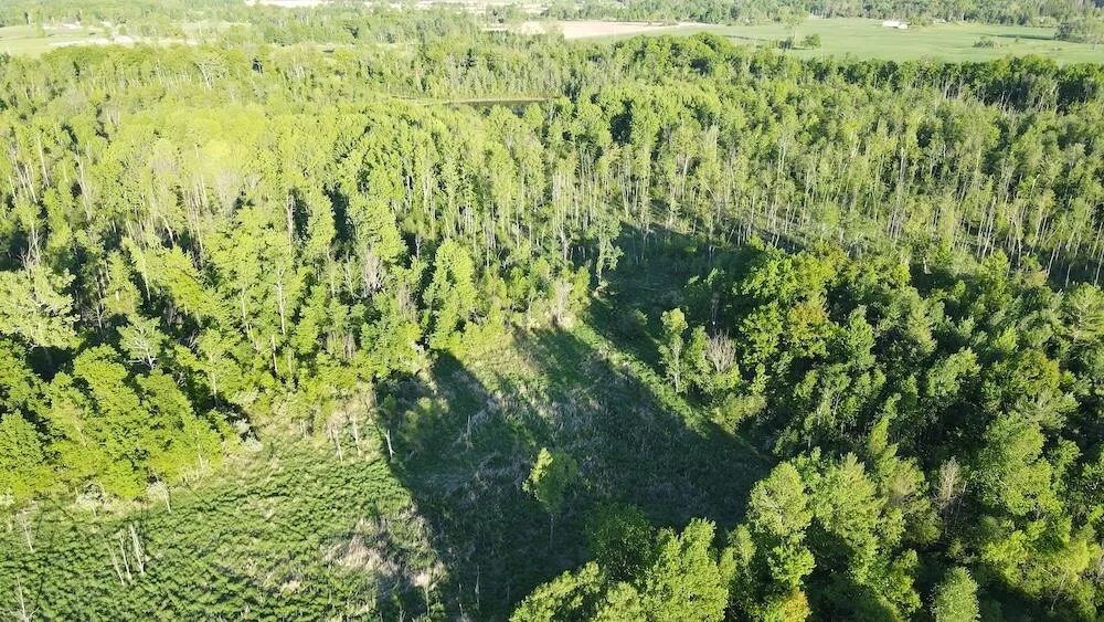 Melcher Road Prescott, MI 48756