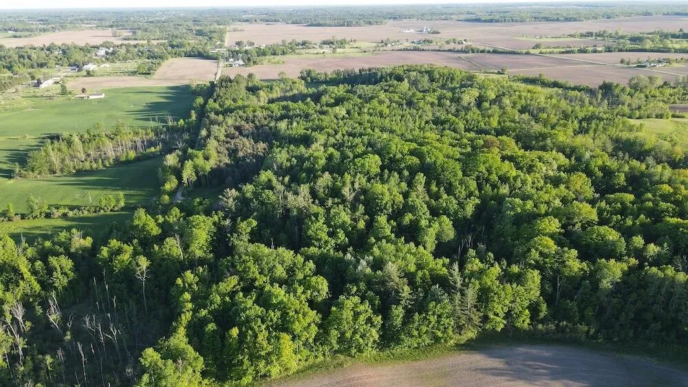 Melcher Road Prescott, MI 48756