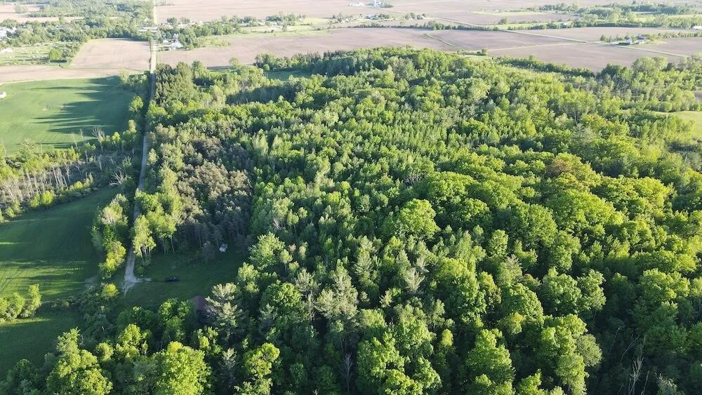 Melcher Road Prescott, MI 48756