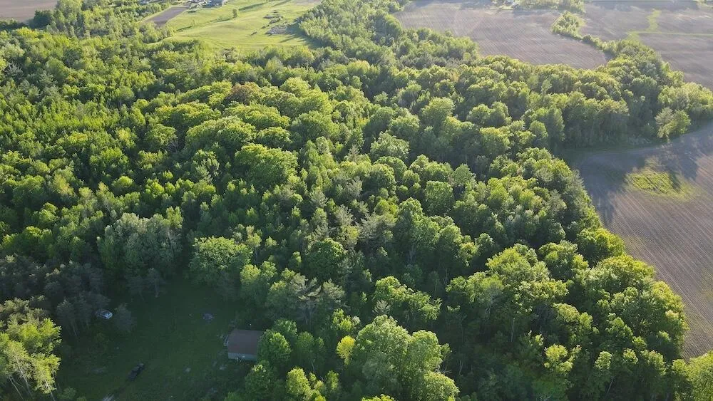 Melcher Road Prescott, MI 48756