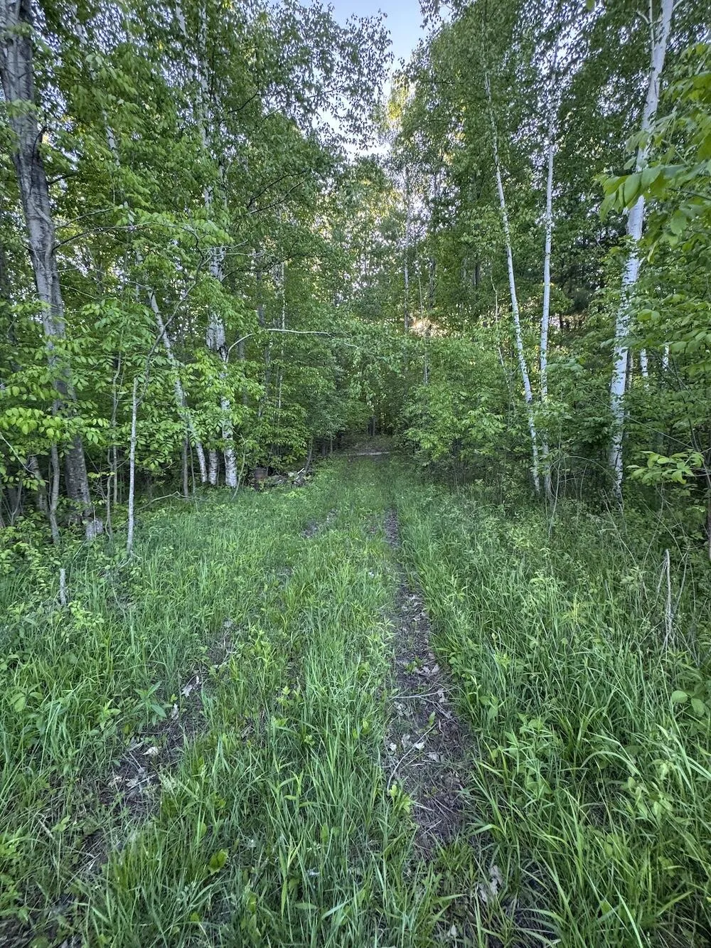 Melcher Road Prescott, MI 48756