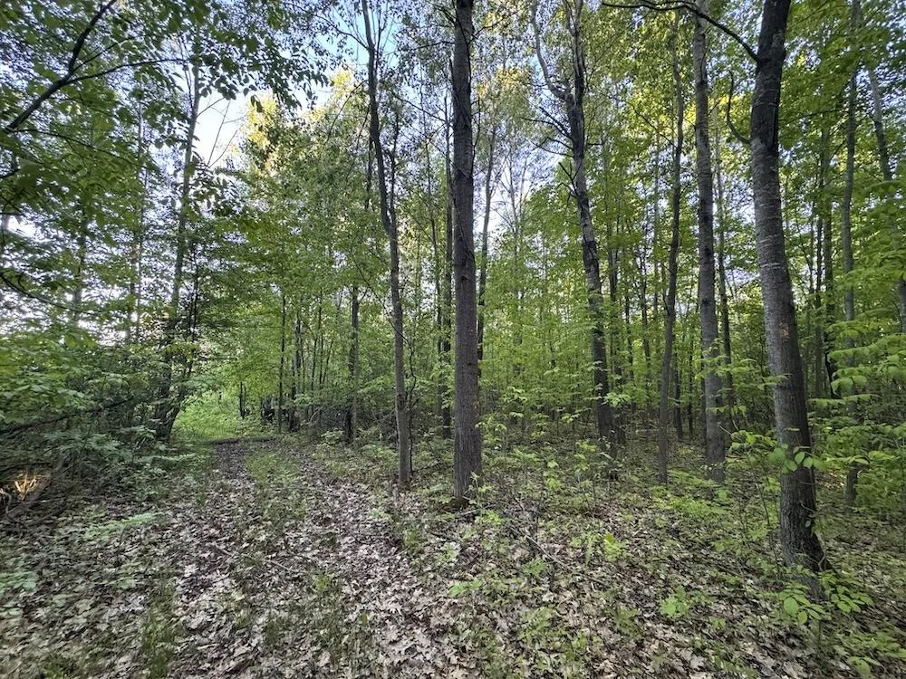 Melcher Road Prescott, MI 48756