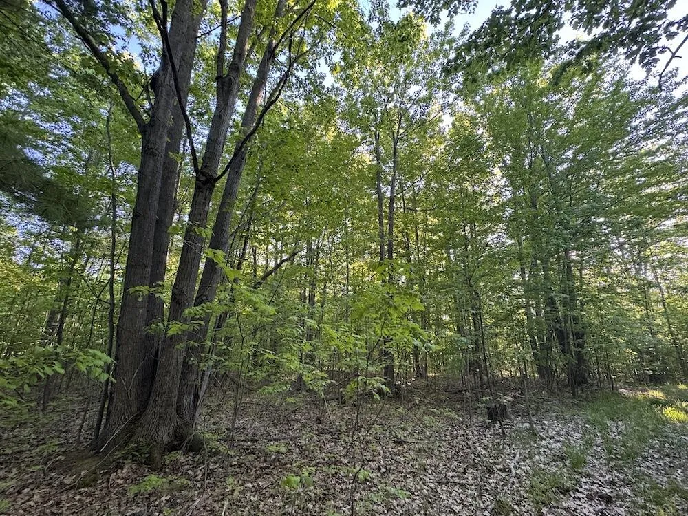 Melcher Road Prescott, MI 48756