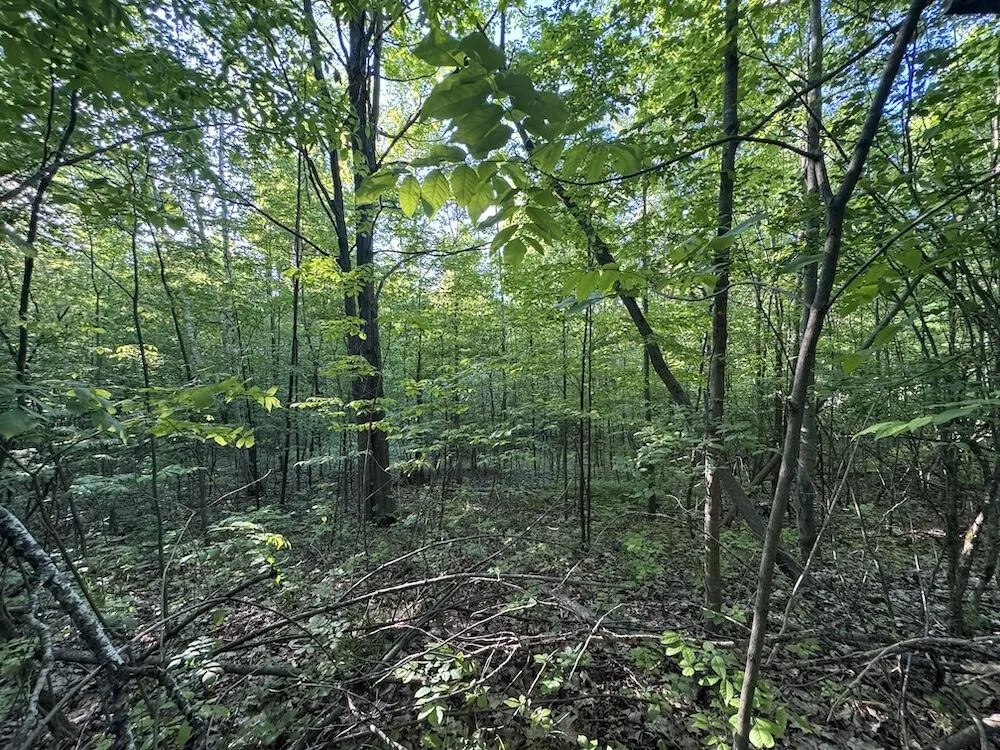 Melcher Road Prescott, MI 48756