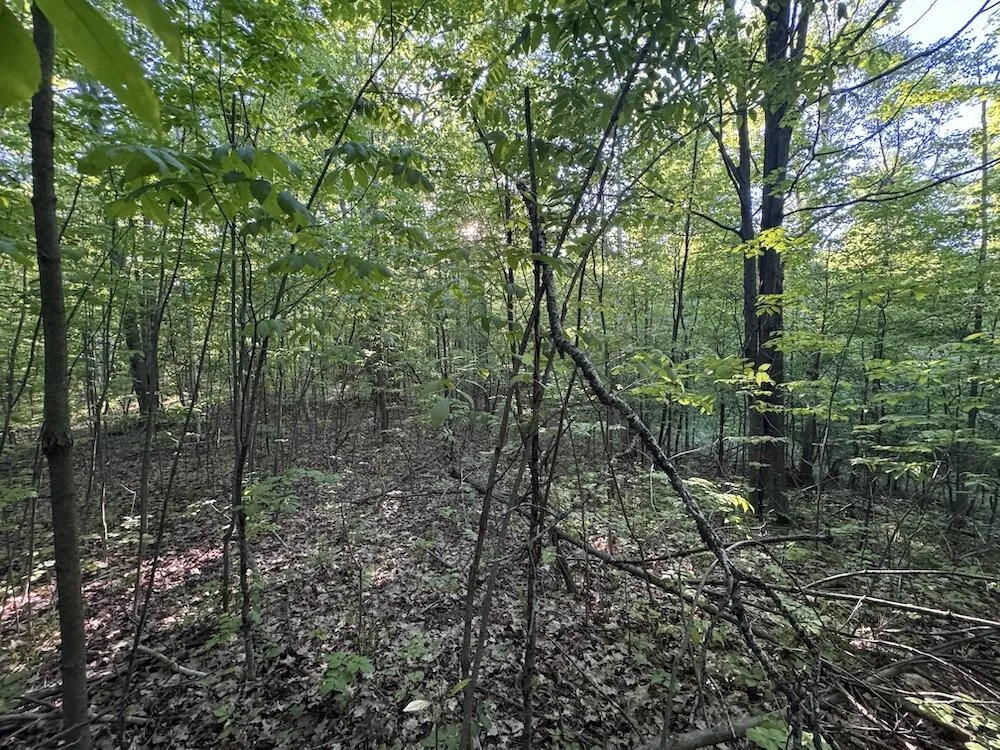 Melcher Road Prescott, MI 48756