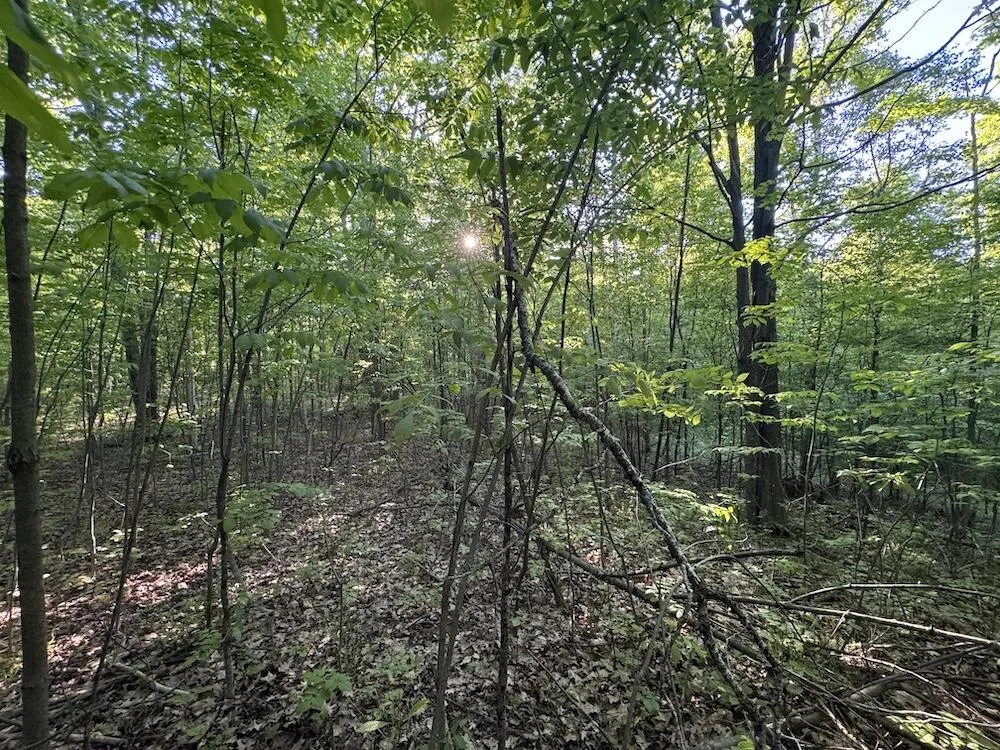 Melcher Road Prescott, MI 48756