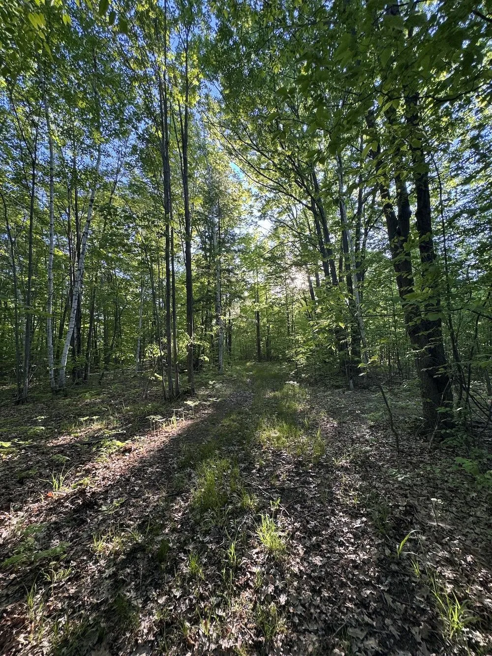 Melcher Road Prescott, MI 48756