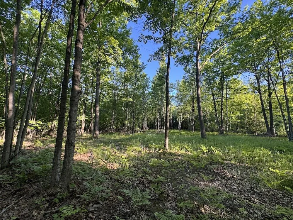 Melcher Road Prescott, MI 48756