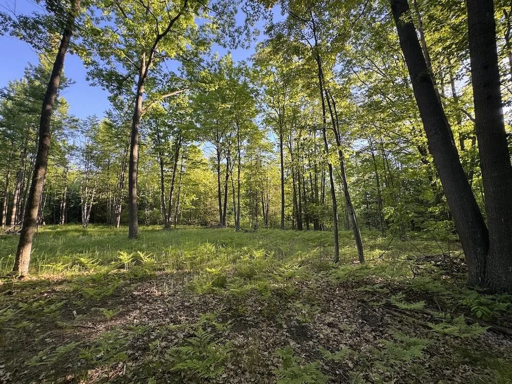 Melcher Road Prescott, MI 48756