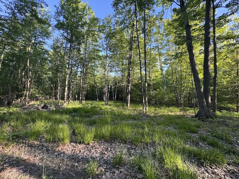 Melcher Road Prescott, MI 48756