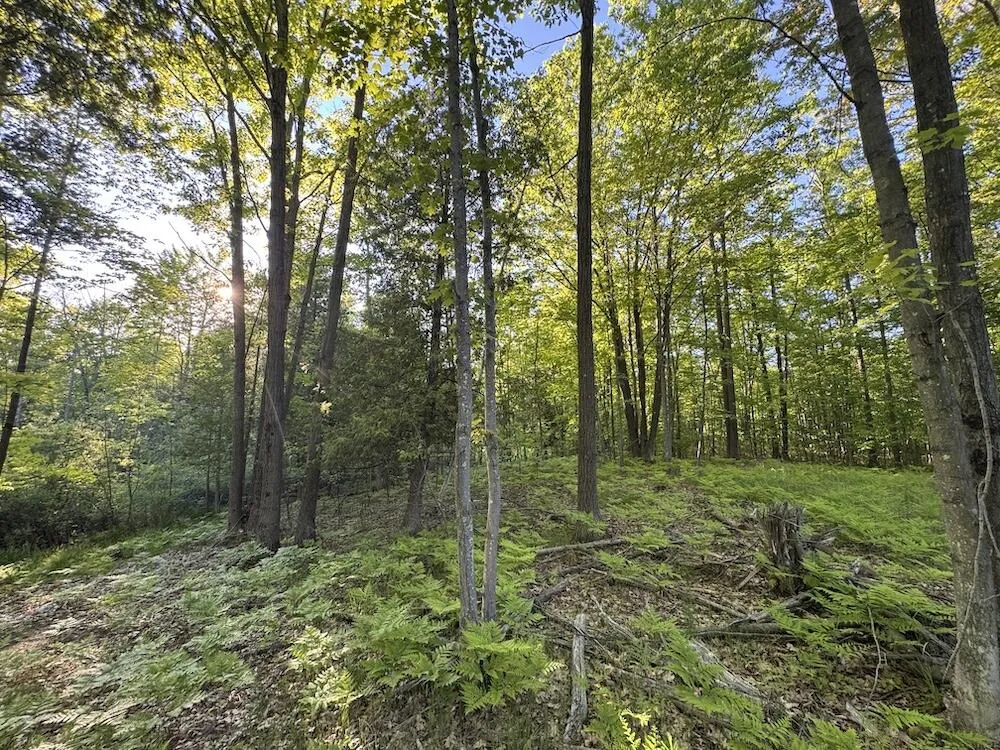 Melcher Road Prescott, MI 48756