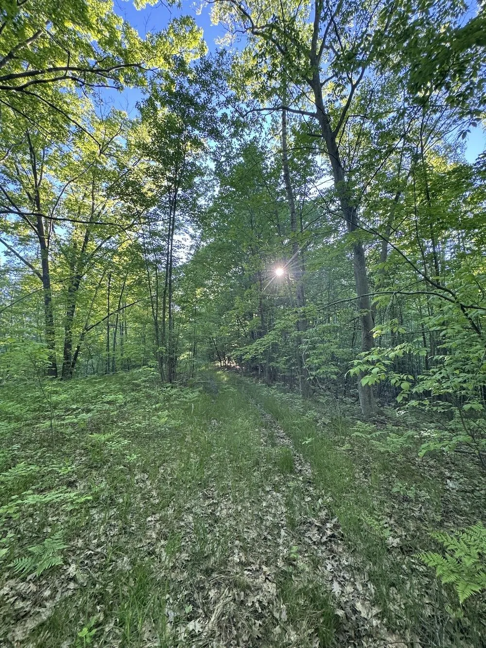 Melcher Road Prescott, MI 48756