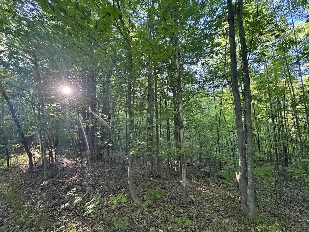 Melcher Road Prescott, MI 48756