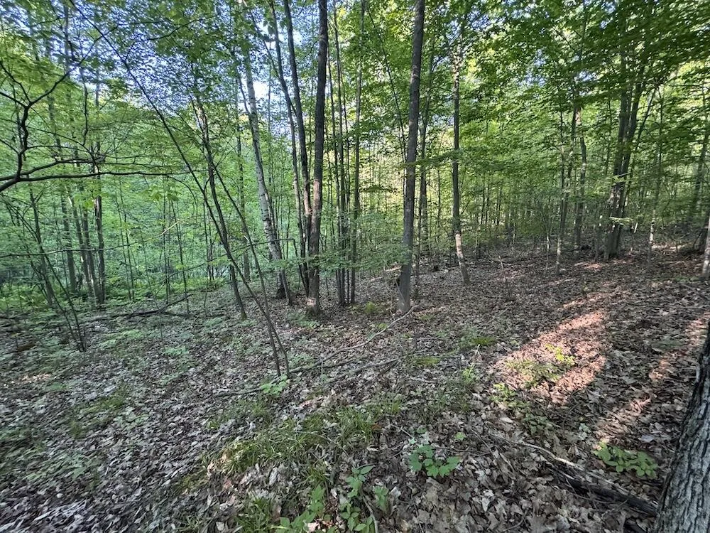 Melcher Road Prescott, MI 48756