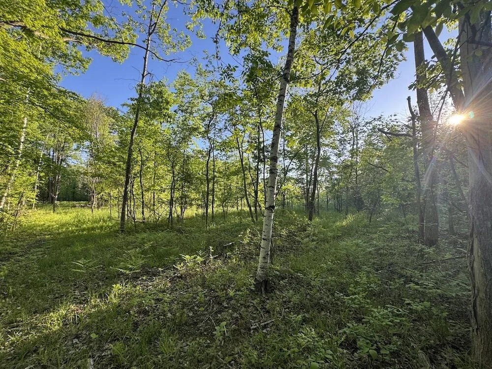 Melcher Road Prescott, MI 48756
