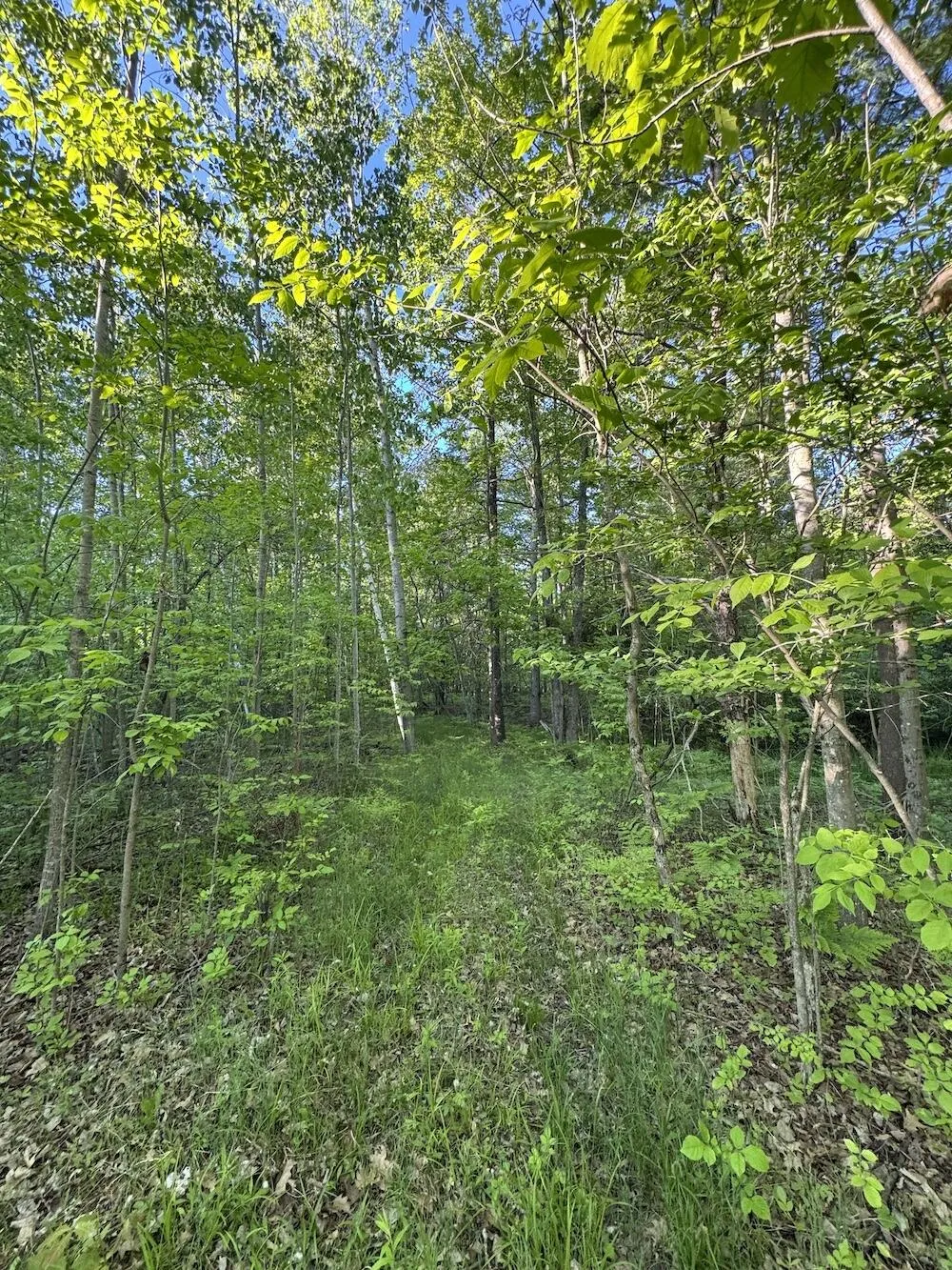 Melcher Road Prescott, MI 48756