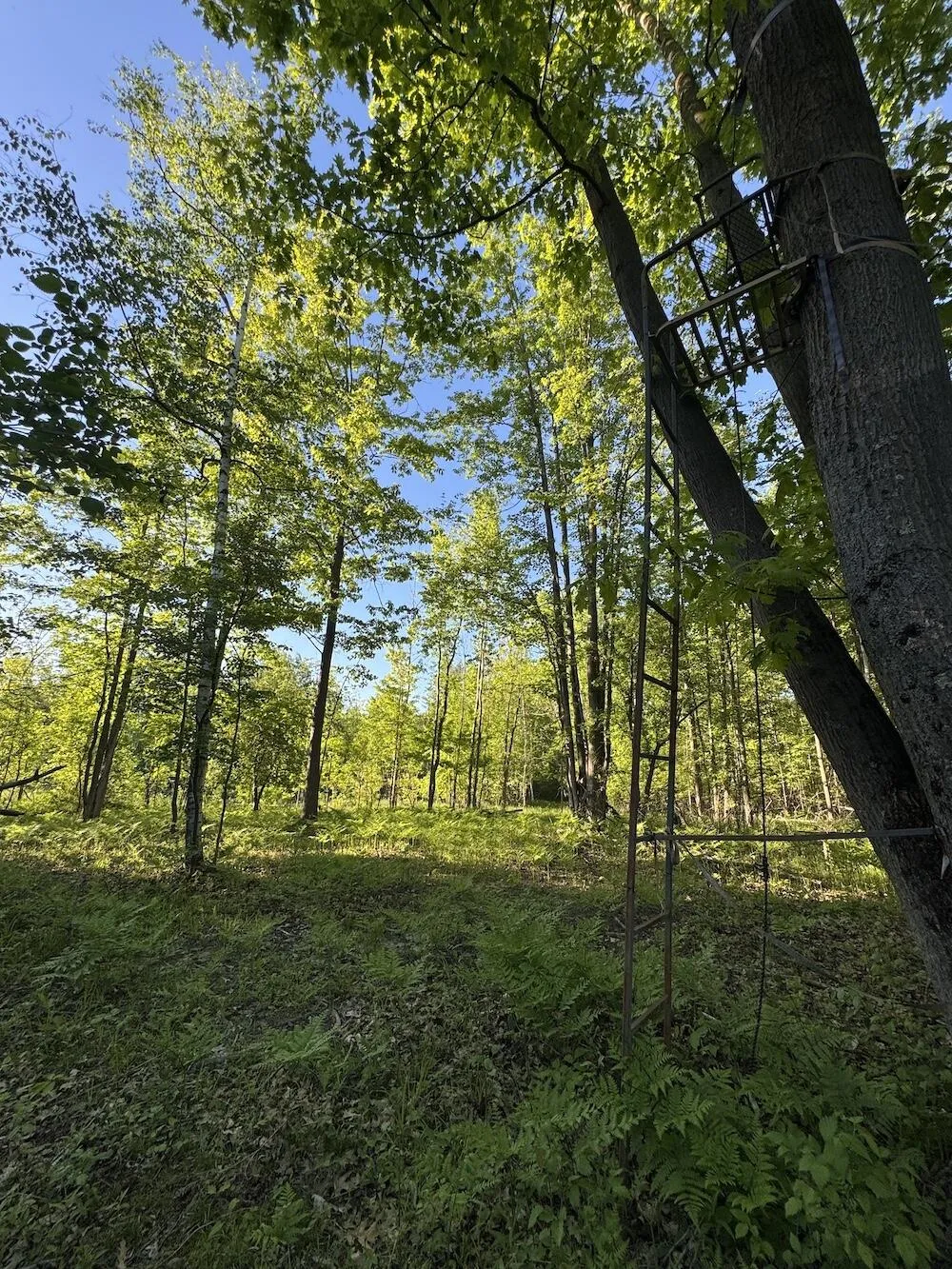 Melcher Road Prescott, MI 48756