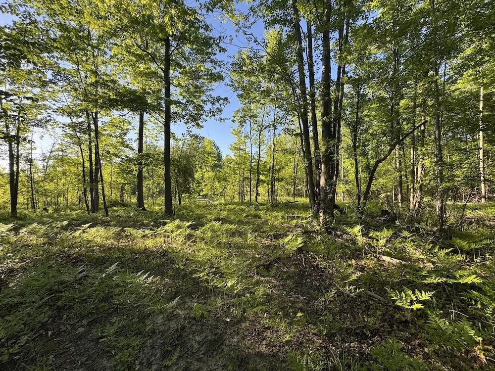 Melcher Road Prescott, MI 48756