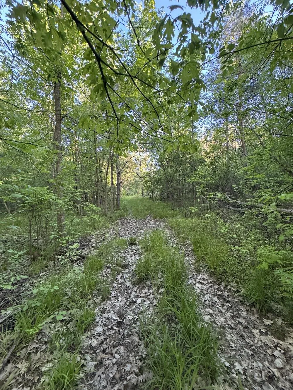 Melcher Road Prescott, MI 48756