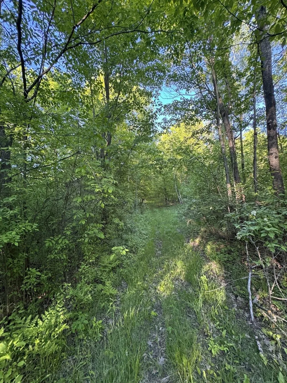 Melcher Road Prescott, MI 48756