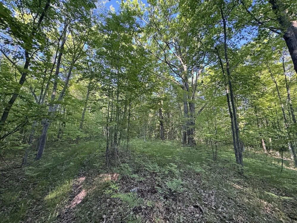 Melcher Road Prescott, MI 48756