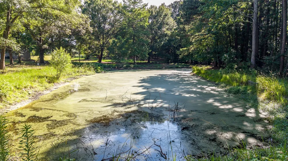20388 County Road 150 Flint, TX 75762