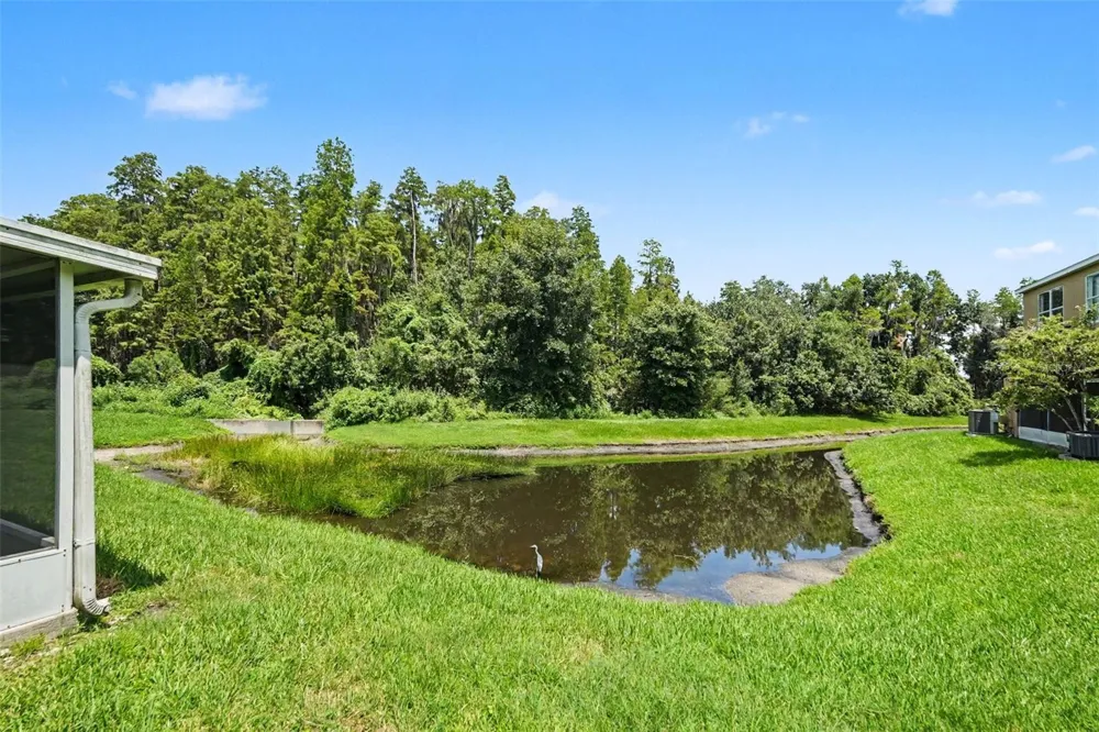 30153 BARNABY LANE Wesley Chapel, FL 33543