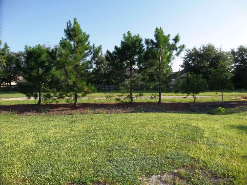 8051 PENROSE PLACE Wildwood, FL 34785