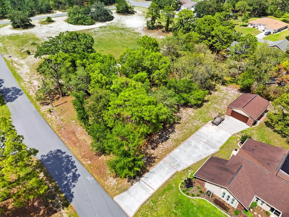 1228 STATEN AVENUE Spring Hill, FL 34609