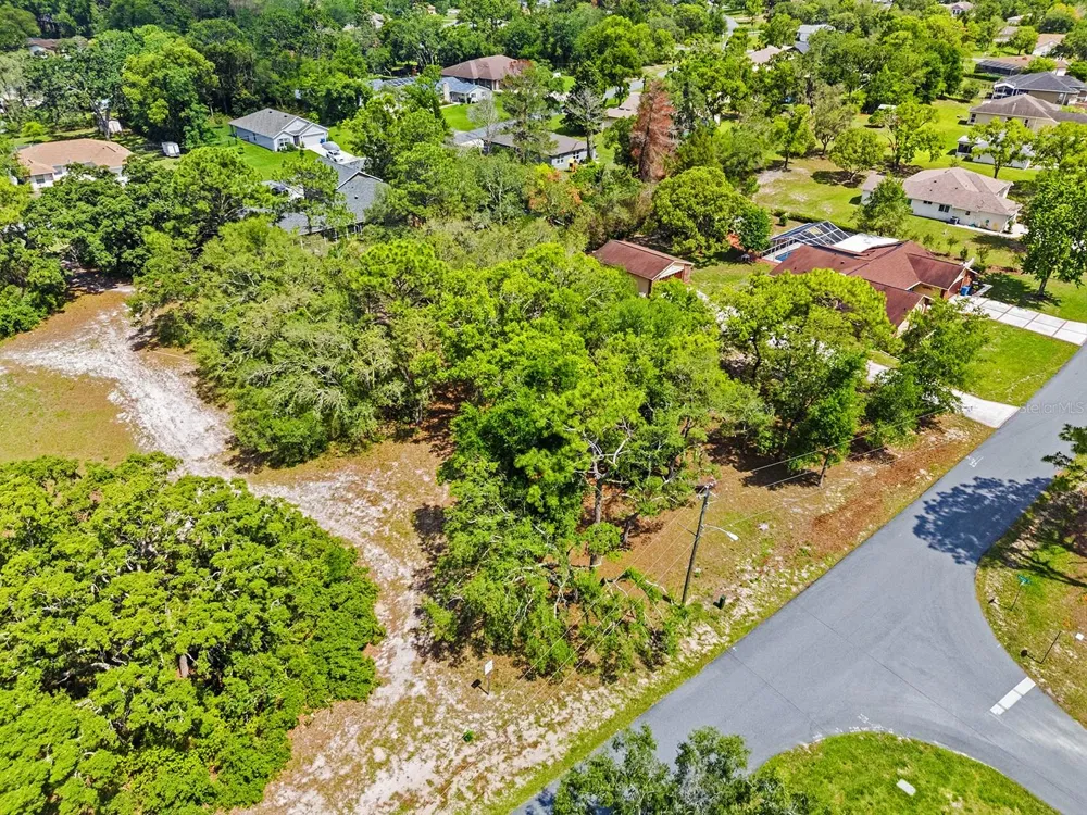 1228 STATEN AVENUE Spring Hill, FL 34609