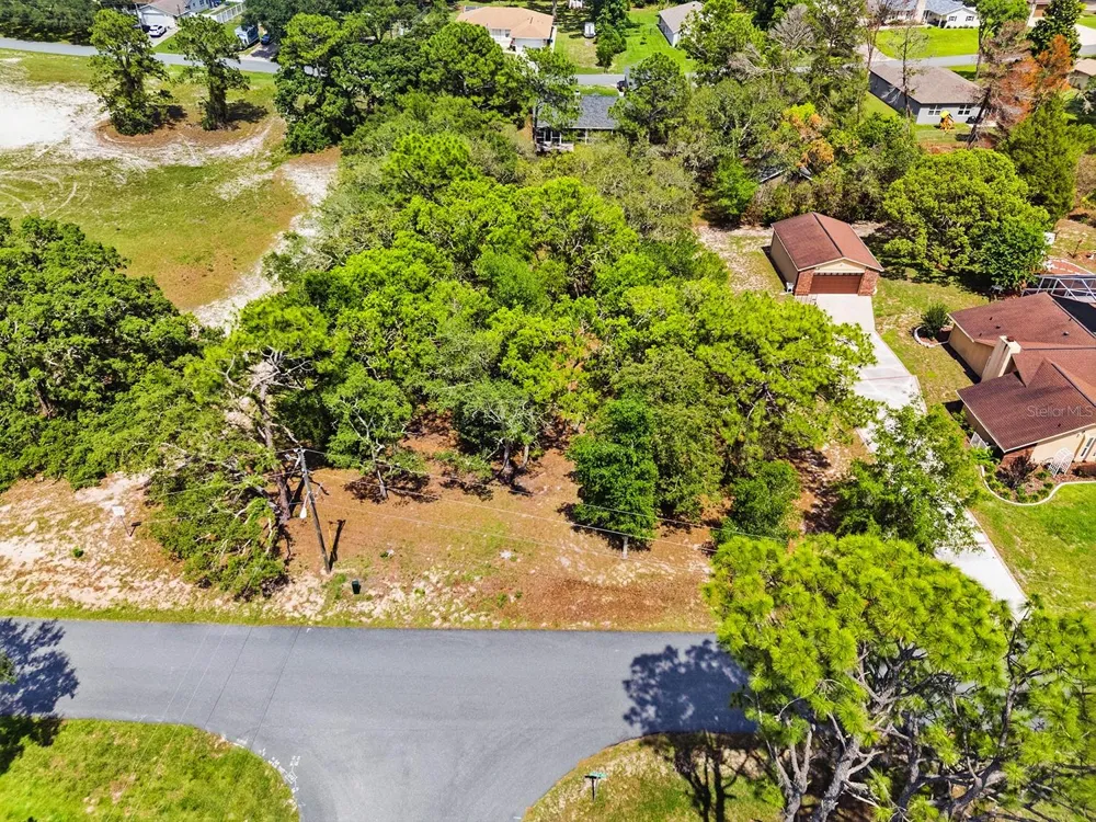 1228 STATEN AVENUE Spring Hill, FL 34609