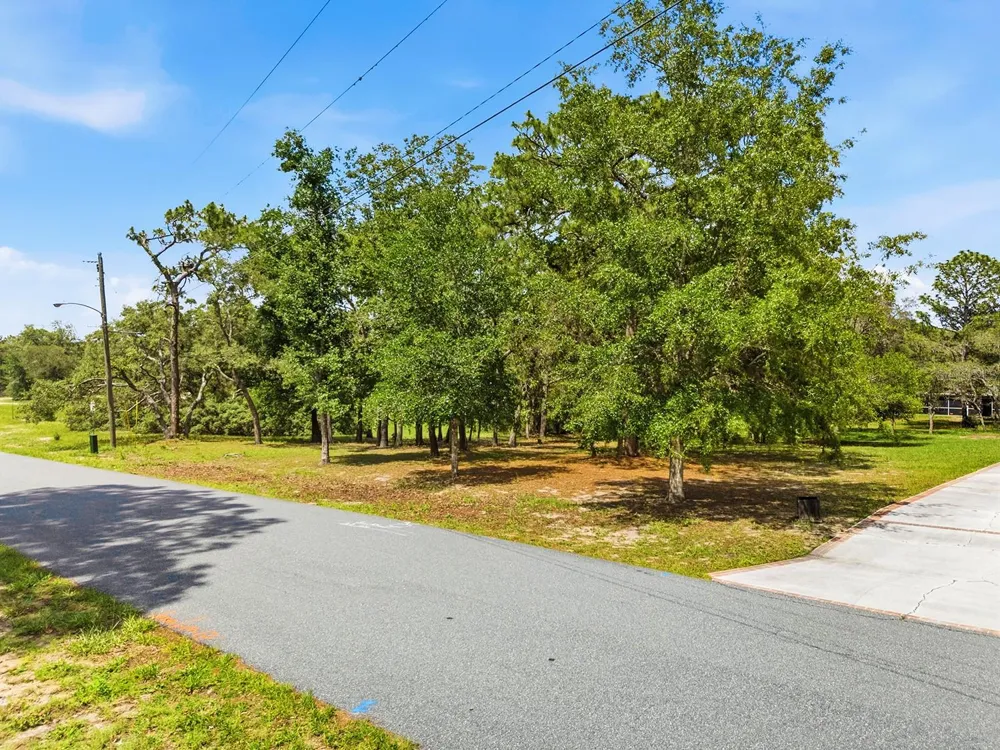 1228 STATEN AVENUE Spring Hill, FL 34609