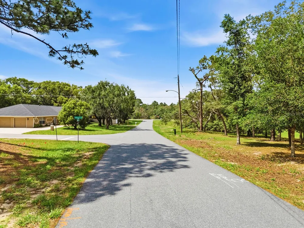 1228 STATEN AVENUE Spring Hill, FL 34609