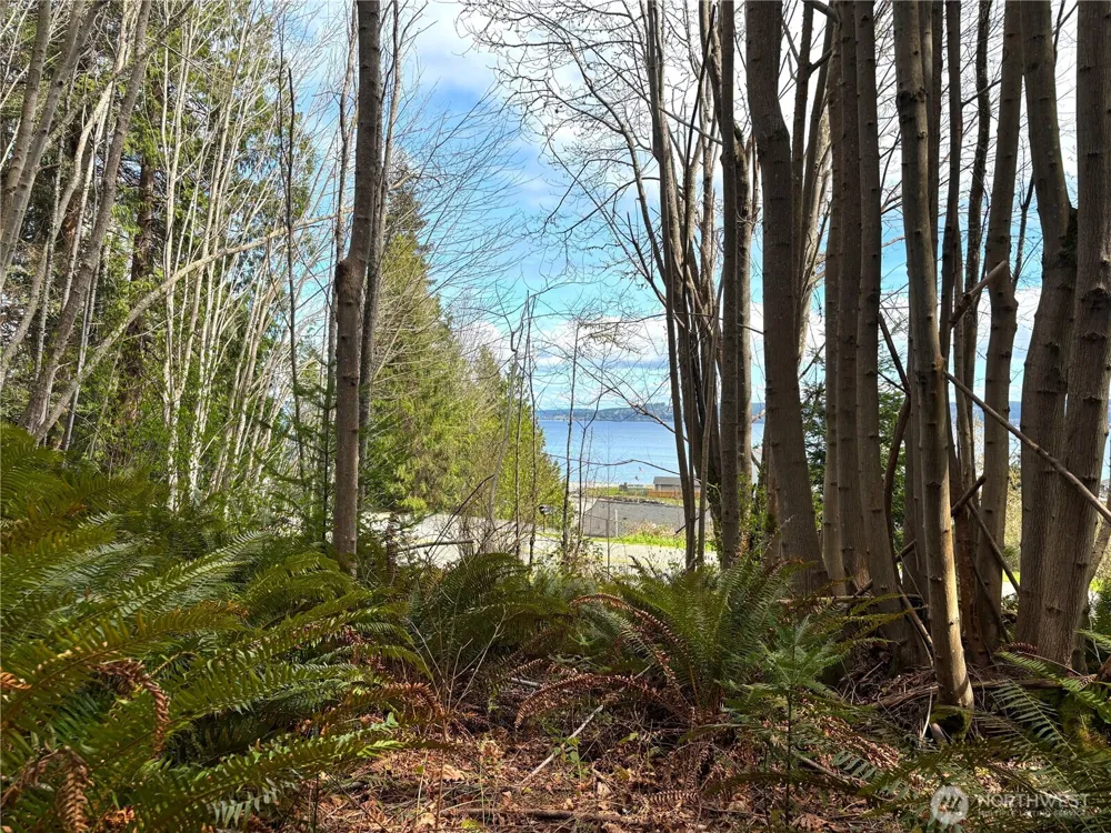 999 Bluejay Lane Port Ludlow, WA 98365