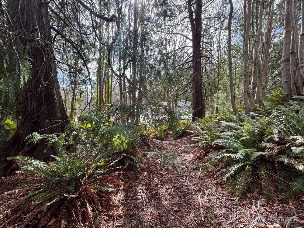 999 Bluejay Lane Port Ludlow, WA 98365