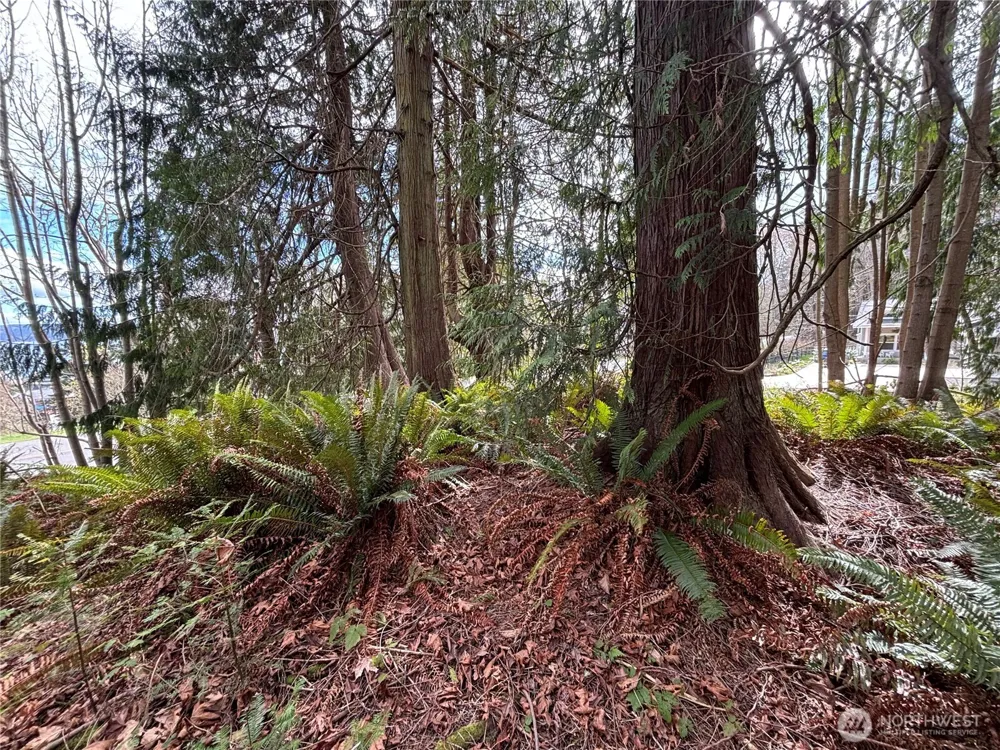 999 Bluejay Lane Port Ludlow, WA 98365