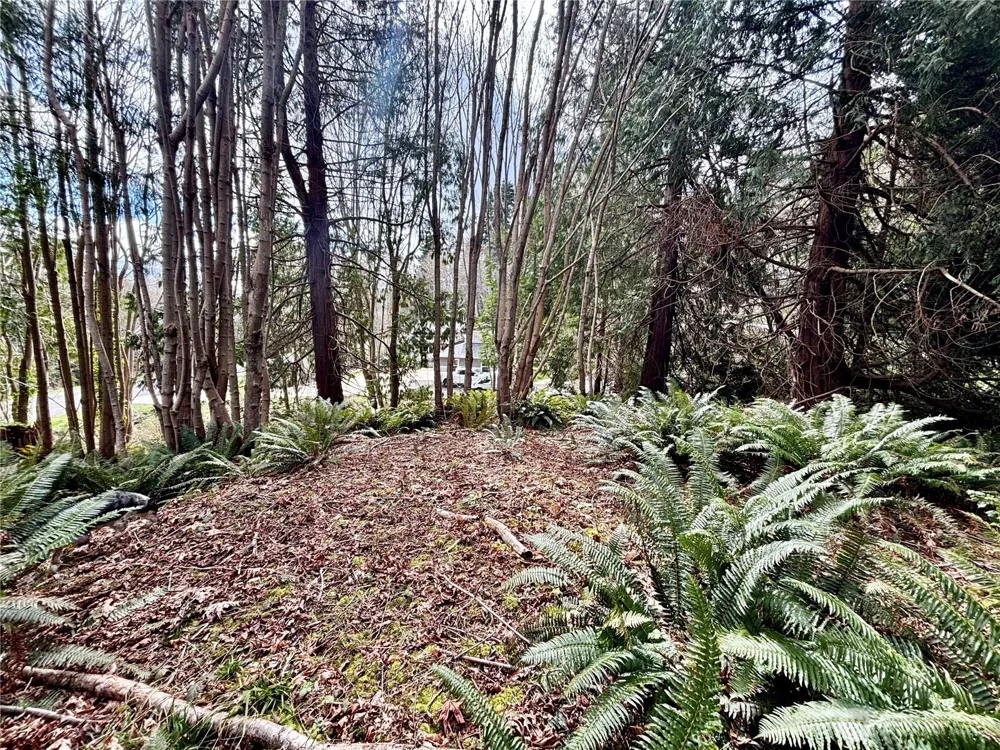 999 Bluejay Lane Port Ludlow, WA 98365