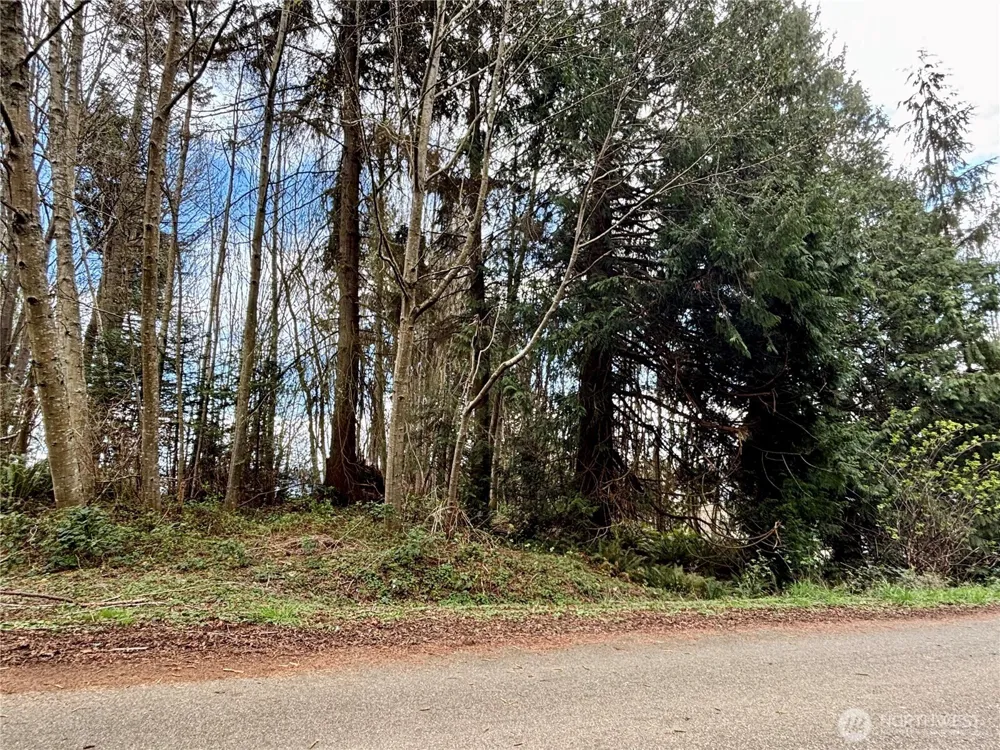999 Bluejay Lane Port Ludlow, WA 98365