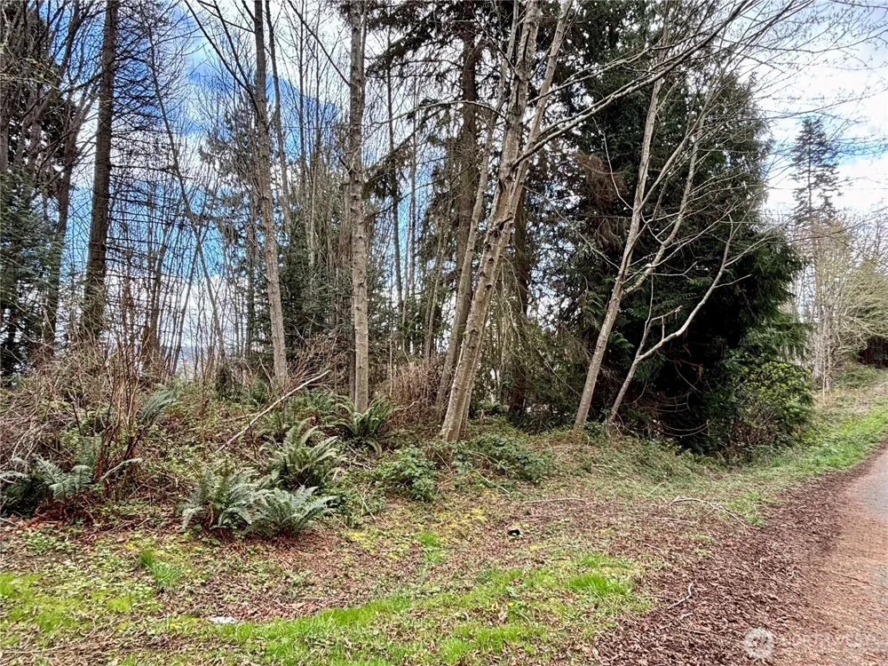 999 Bluejay Lane Port Ludlow, WA 98365