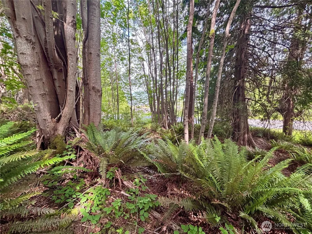 999 Bluejay Lane Port Ludlow, WA 98365