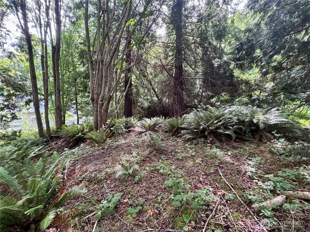 999 Bluejay Lane Port Ludlow, WA 98365