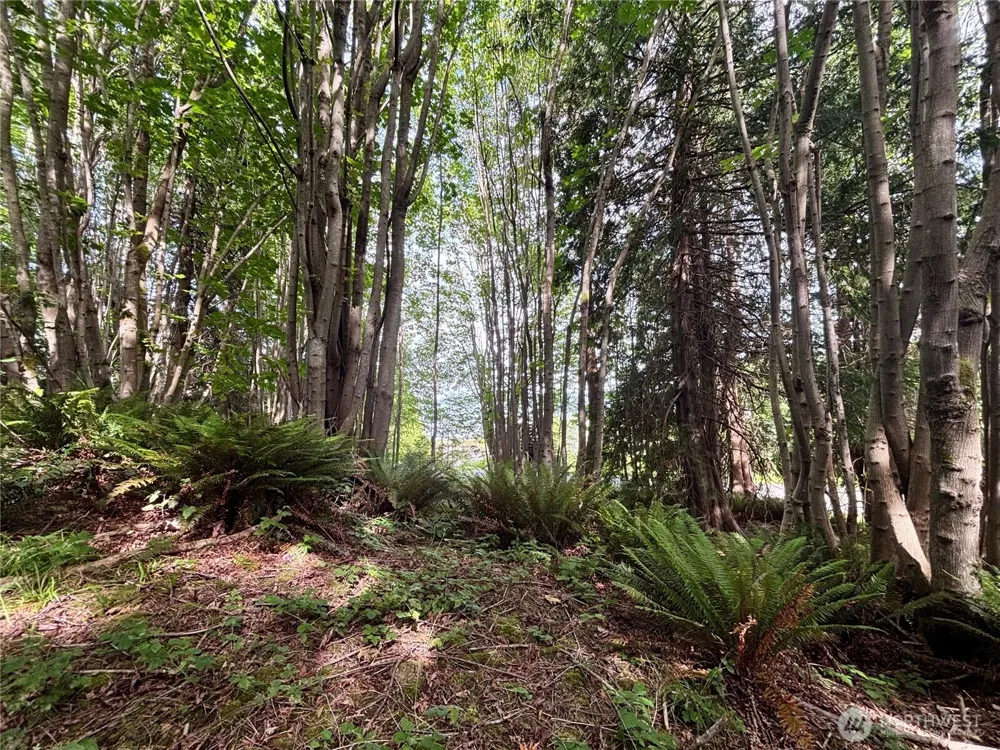 999 Bluejay Lane Port Ludlow, WA 98365