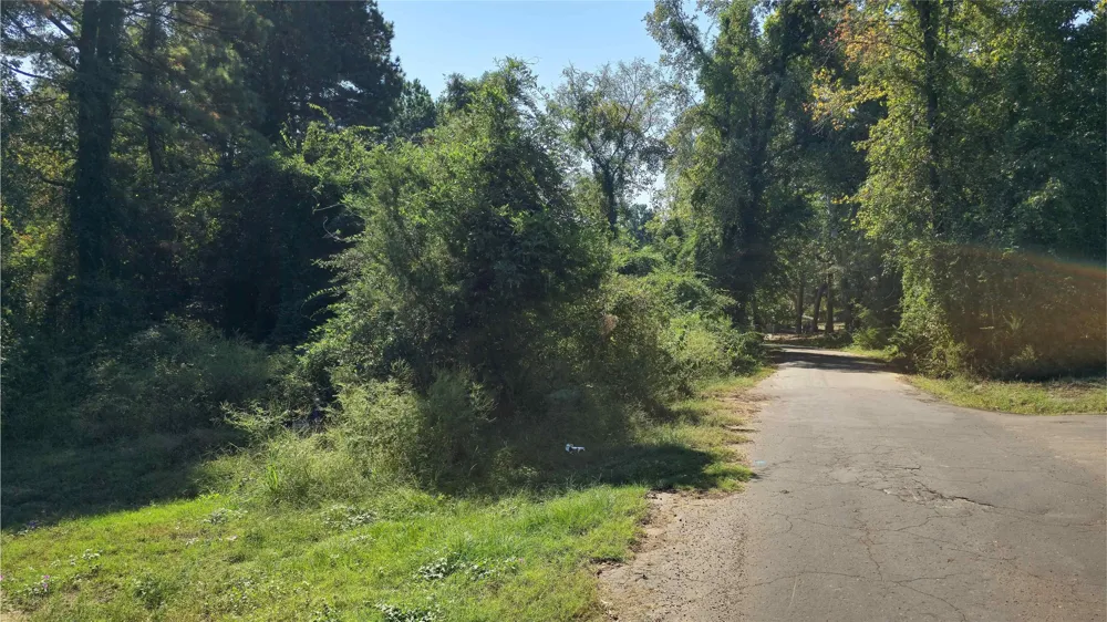 175 County Road 2267 Mineola, TX 75773