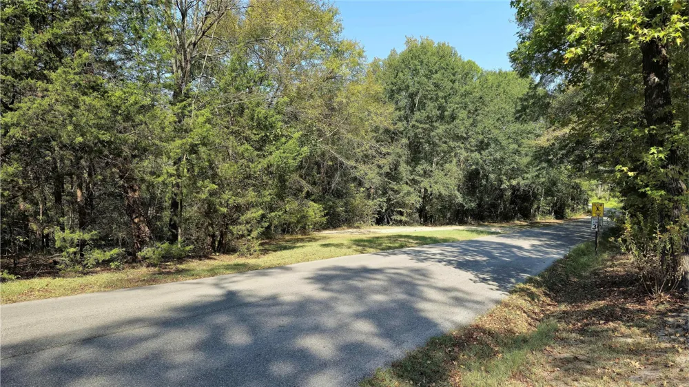 175 County Road 2267 Mineola, TX 75773