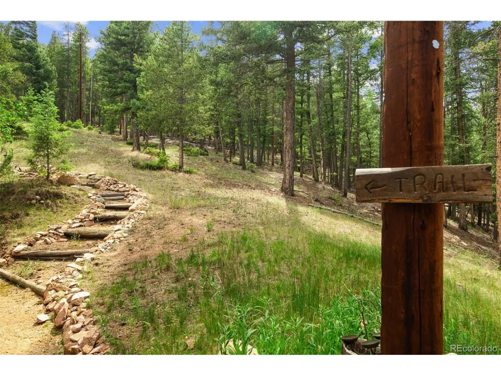 12191 Tecumseh Trail Conifer, CO 80433
