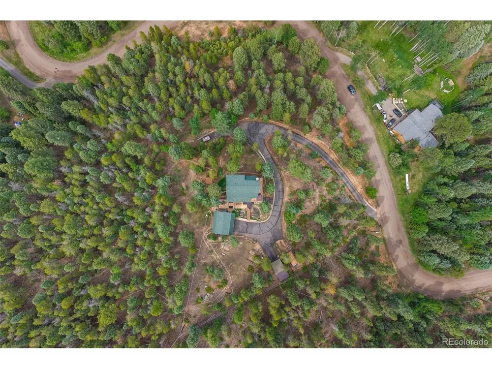 12191 Tecumseh Trail Conifer, CO 80433