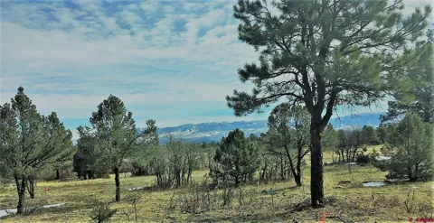 S Badger Trail